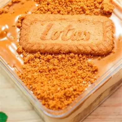 CRUMBS GALLETA MOLIDA LOTUS BISCOFF 750GR