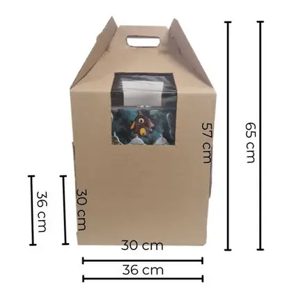 CAJA 23 PASTEL TRANSPORTADORA KRAFT 36X36X65CM