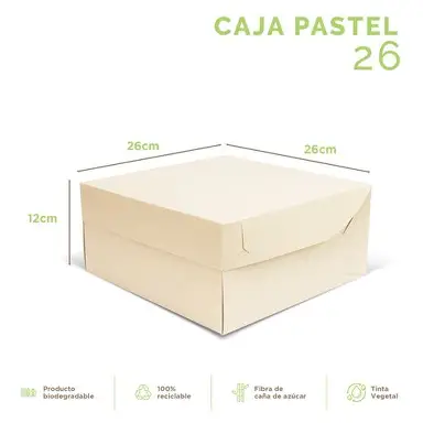 CAJA 26 PASTEL HG 36X36X30 CM (3PZAS)